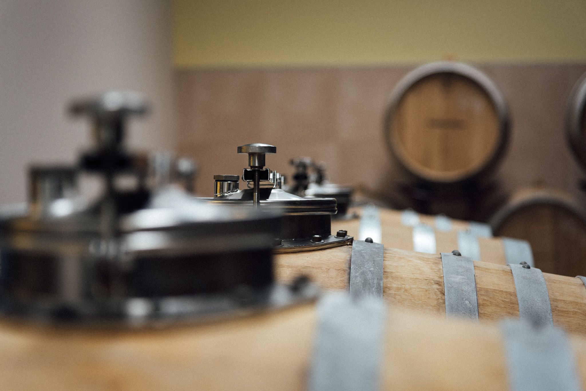 Kde koupit vína Vinařství Vladimír Tetur